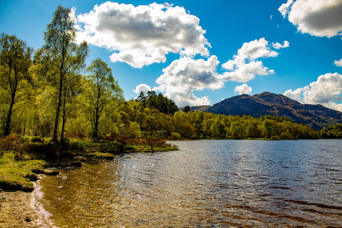 Základová fotografie zdarma na téma denní světlo, hory, jezero