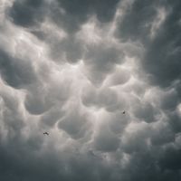 Photo by Emir Anık on Pexels