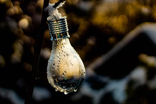 Shallow Focus Photography of Light Bulb