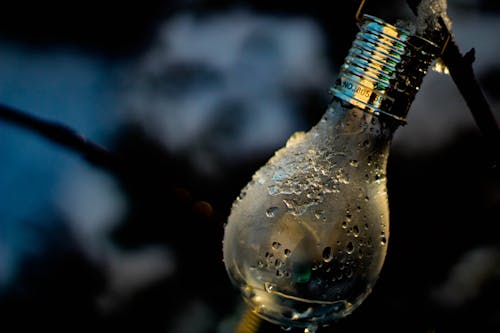 Light Bulb on Selective Focus Photography