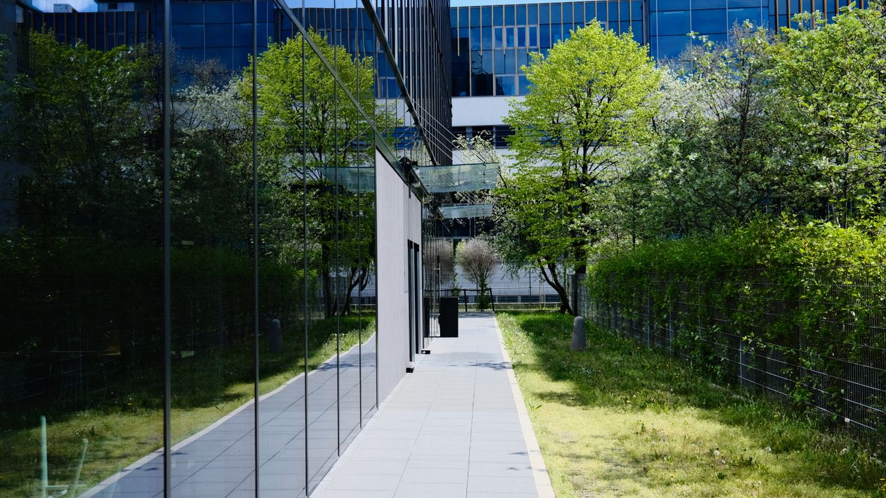 Modern glass building with pedestrian walkway and planting