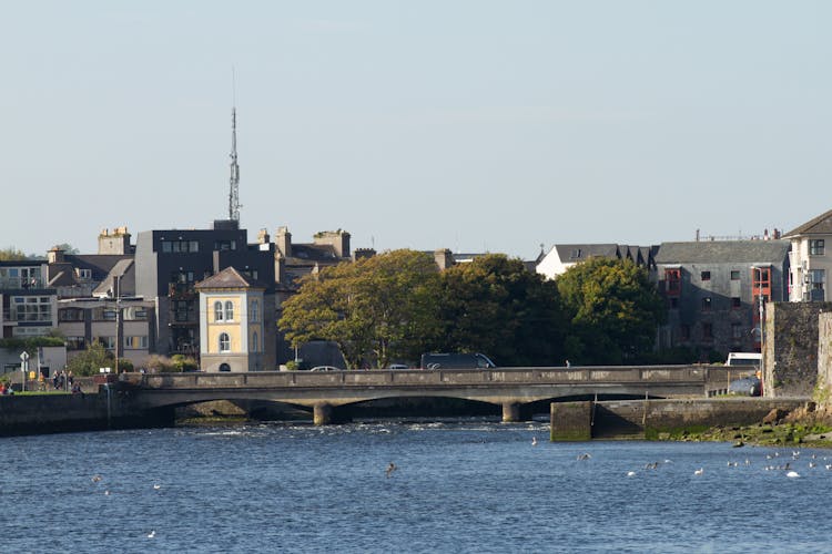 Buildings And Bridge Over River