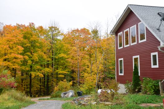 Red house with large windows against a backdrop of colorful autumn trees in Becket, MA.