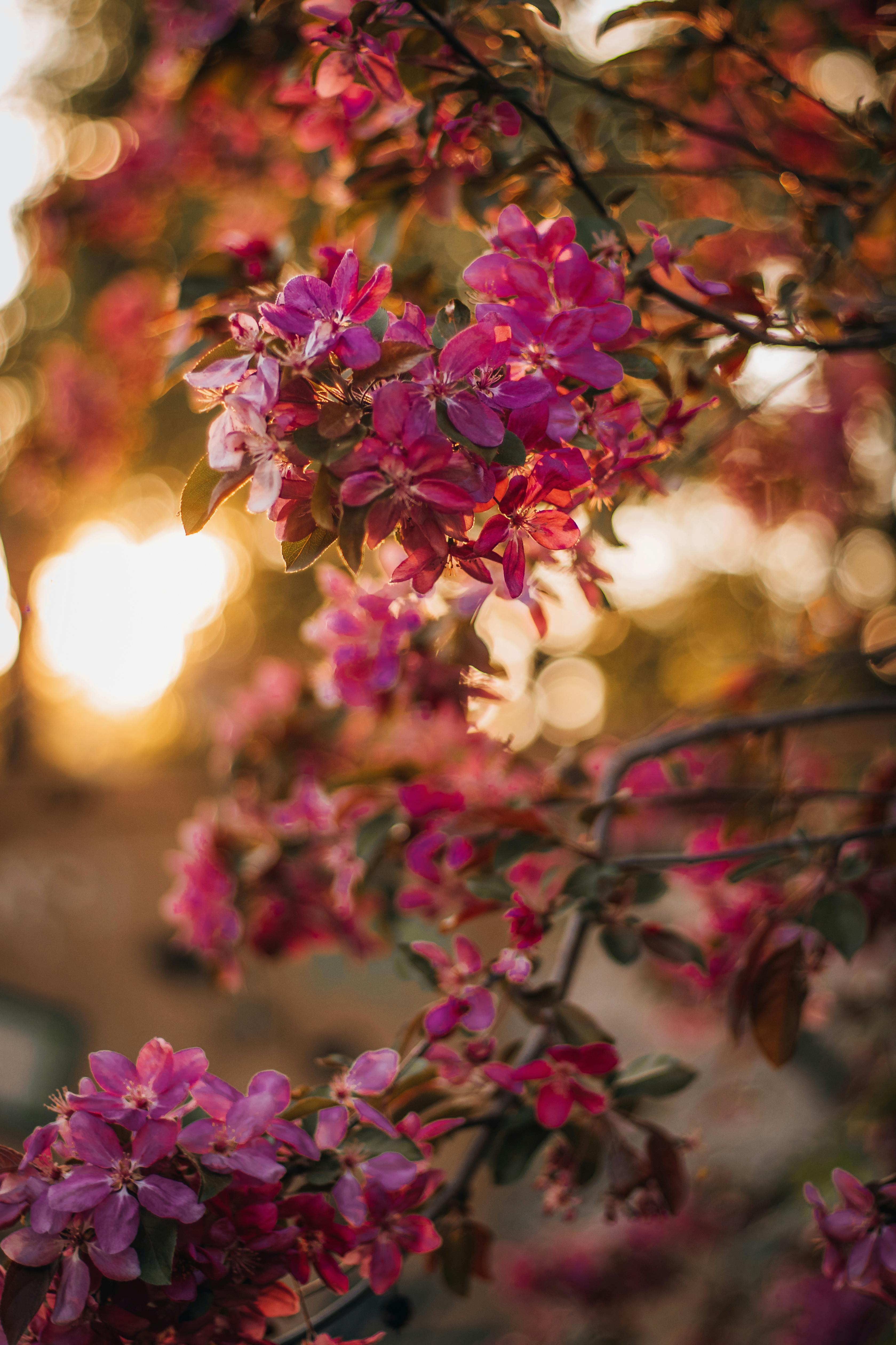 What can I Season shrimp with?