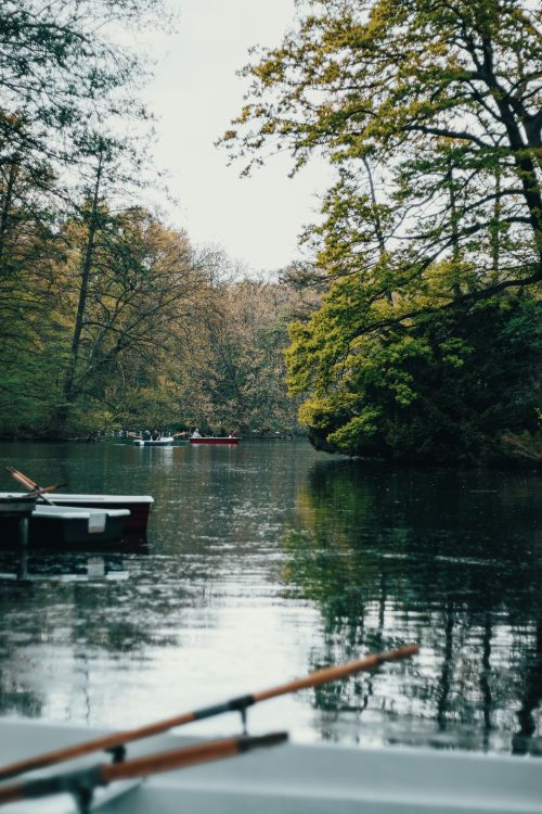 Free Peaceful river with boats surrounded by lush trees under a cloudy sky. Stock Photo
