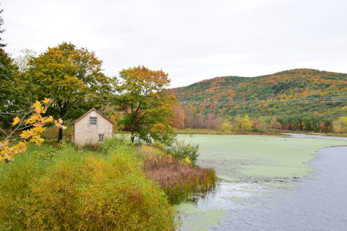 A House Near Body of Water 