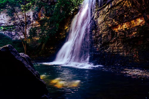 бесплатная Фото водопадов у деревьев в дневное время Стоковое фото