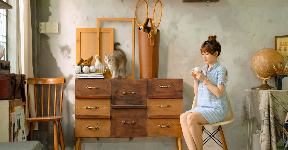 Boring Furniture with Drawer Pulls