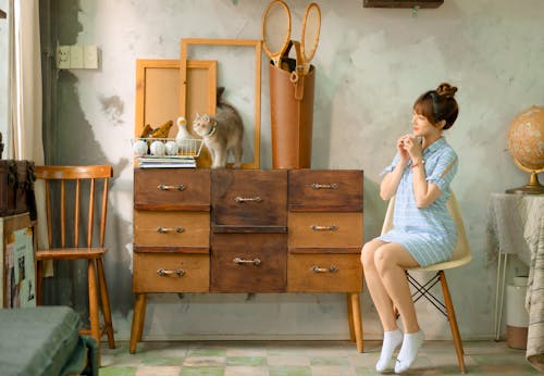 Free Woman Sitting on a Chair and Looking at a Cat Walking on a Cabinet Stock Photo