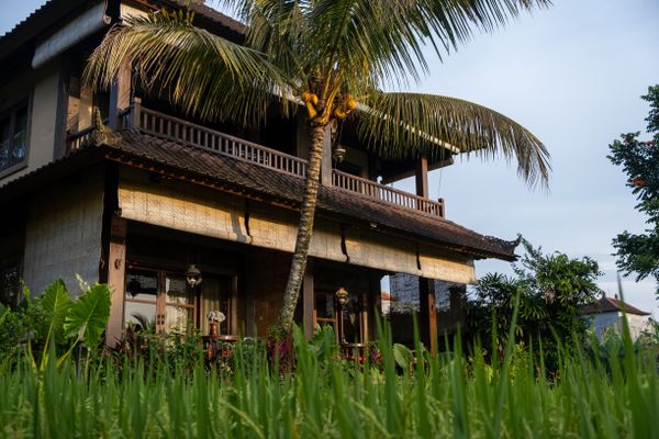 Alaya Resort Ubud - Basic