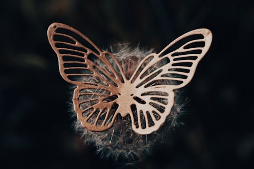 Butterfly on Dandelion - Schmetterling auf Pusteblume