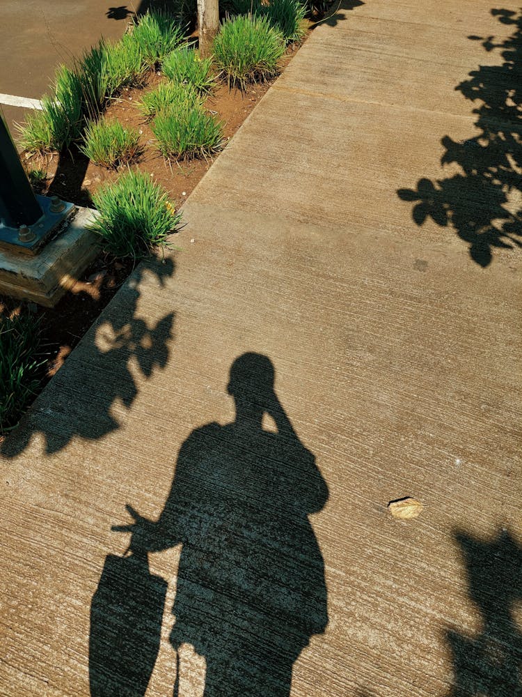 Shadow Of Person On Gray Concrete Pathway