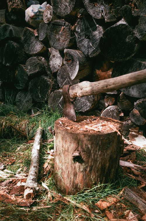An Axe on a Tree Log