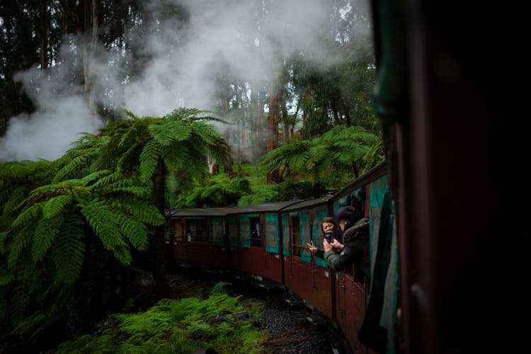 Breathtaking Train Journeys Across America thumbnail