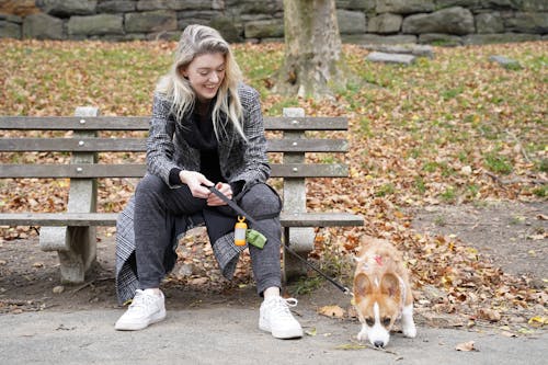 Free A Woman With Her Dog at a Park Stock Photo
