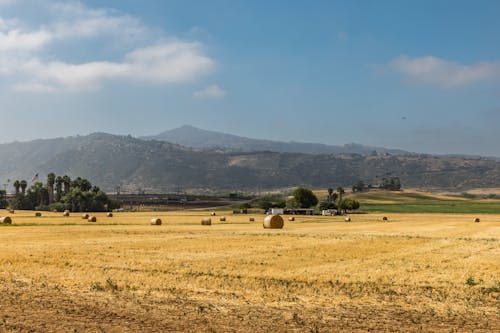 Hay Bales on a Field Below the Mountains