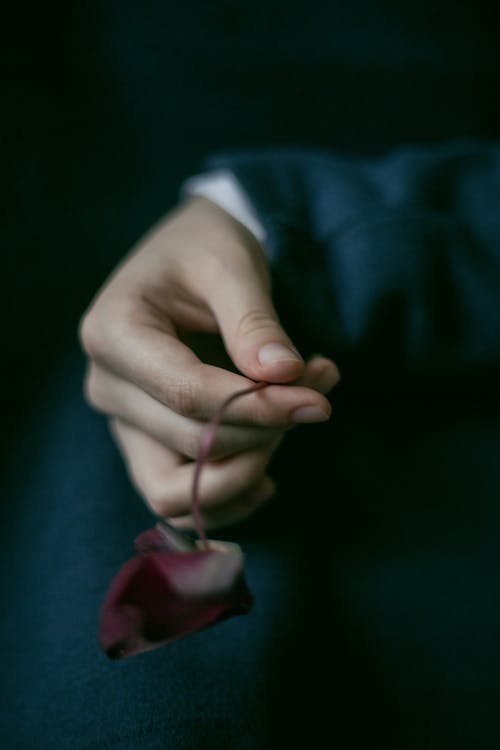 Closeup of a Hand Holding a Plant