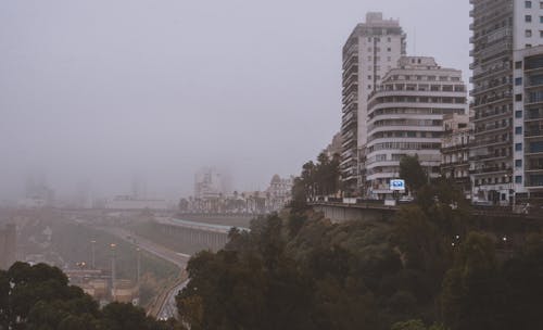 건물 외관, 나무, 도로의 무료 스톡 사진