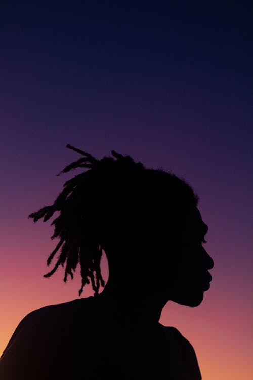 Silhouette Dreadlocks Photos, Download The BEST Free Silhouette ...