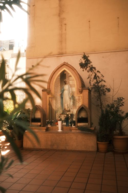 Free Serene outdoor grotto featuring a statue of Virgin Mary, surrounded by plants and peaceful ambiance. Stock Photo