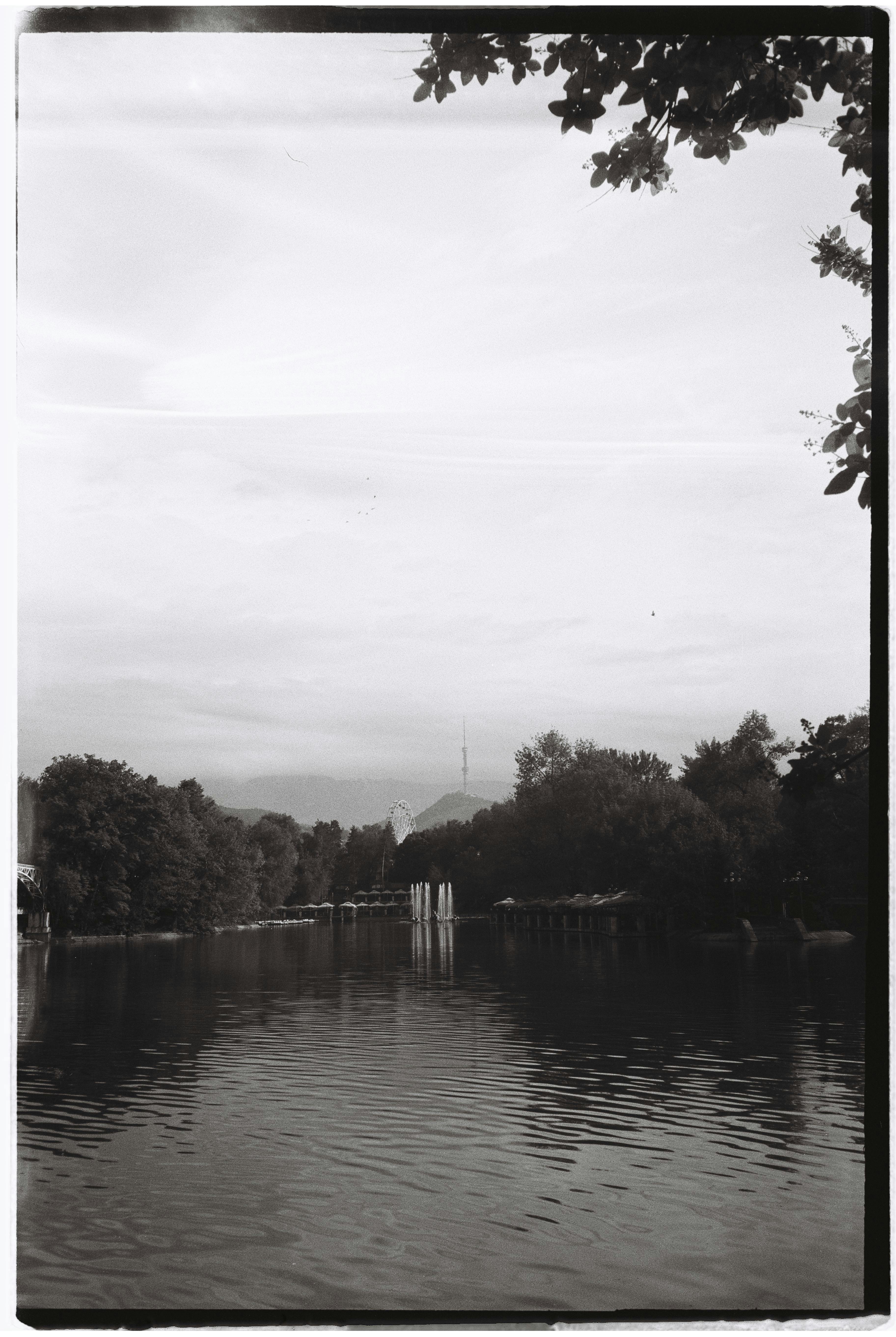 A peaceful monochrome view of a lake surrounded by trees in Almaty, Kazakhstan.