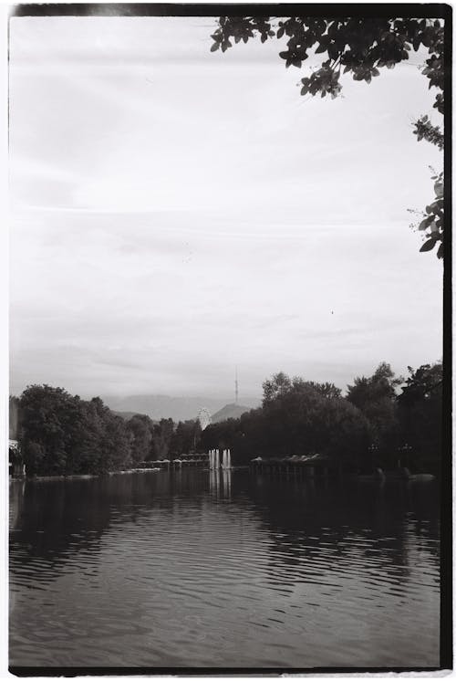 Gratis stockfoto met beschadigde foto, bomen, meer