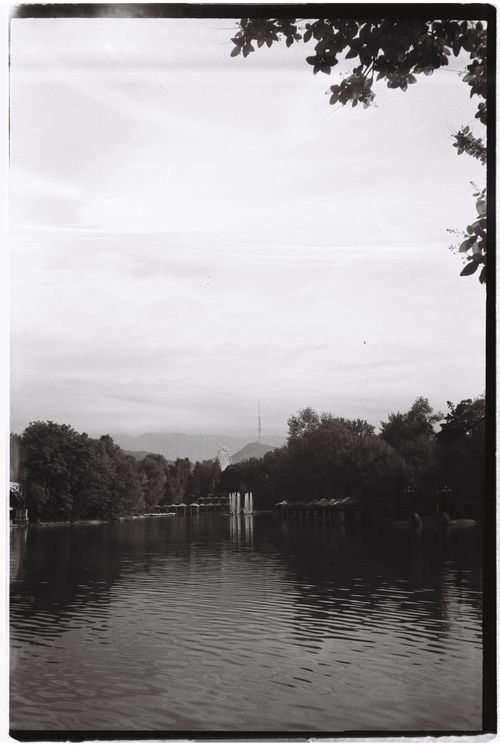 Free A peaceful monochrome view of a lake surrounded by trees in Almaty, Kazakhstan. Stock Photo
