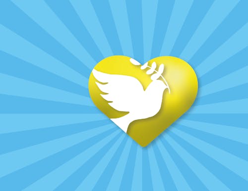 Free stock photo of dove, heart, no war