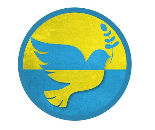 Gratis stockfoto met duif, geen oorlog, Oekraïne