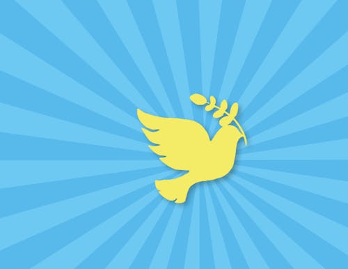 Free stock photo of dove, no war, peace