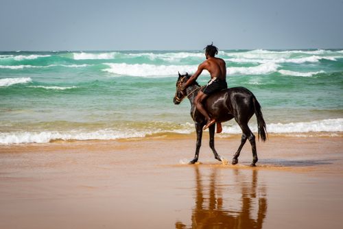 Free A man rides a horse along the scenic beach in Dakar, Senegal, during daytime. Stock Photo