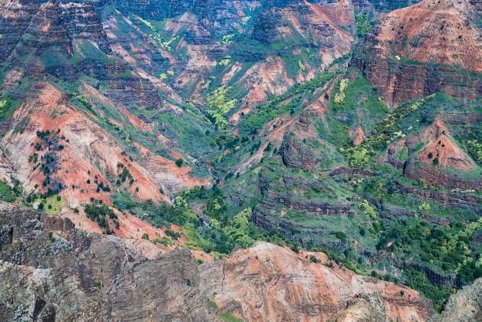 A Day Trip to Waimea Canyon things to do in poipu