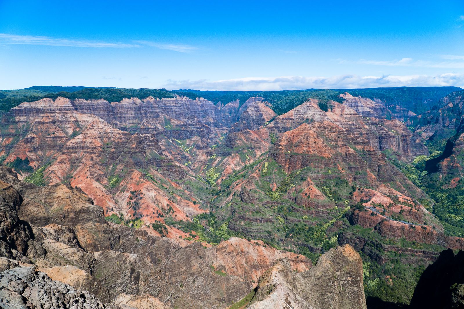 Red and green ridges of Waimea Canyon stretching under a clear sky on Kauaʻi