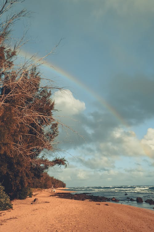 Fotos de stock gratuitas de arco iris, en la playa, fondo de pantalla de arcoíris