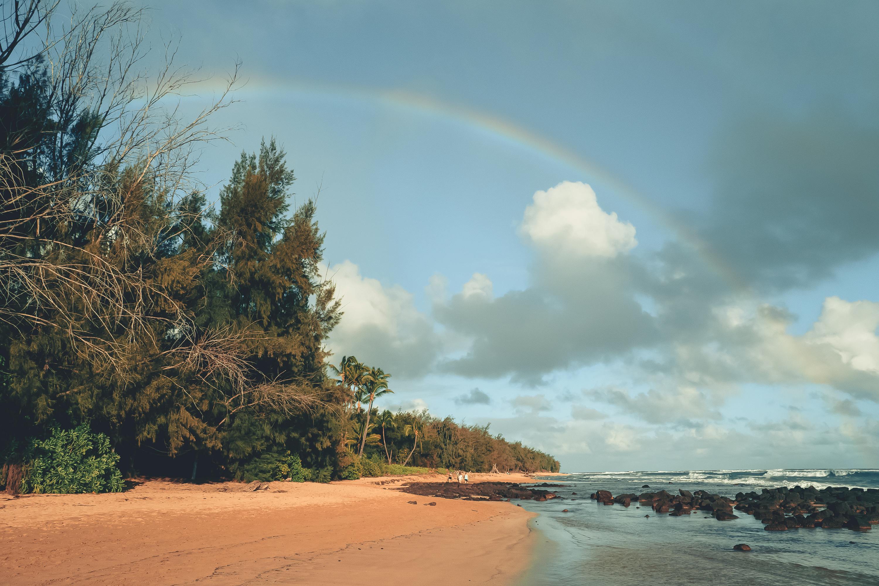 Hawaii Takes Center Stage in Global Aviation, Hawaiian Airlines Joins oneworld Alliance, Unlocking a World of Travel Opportun