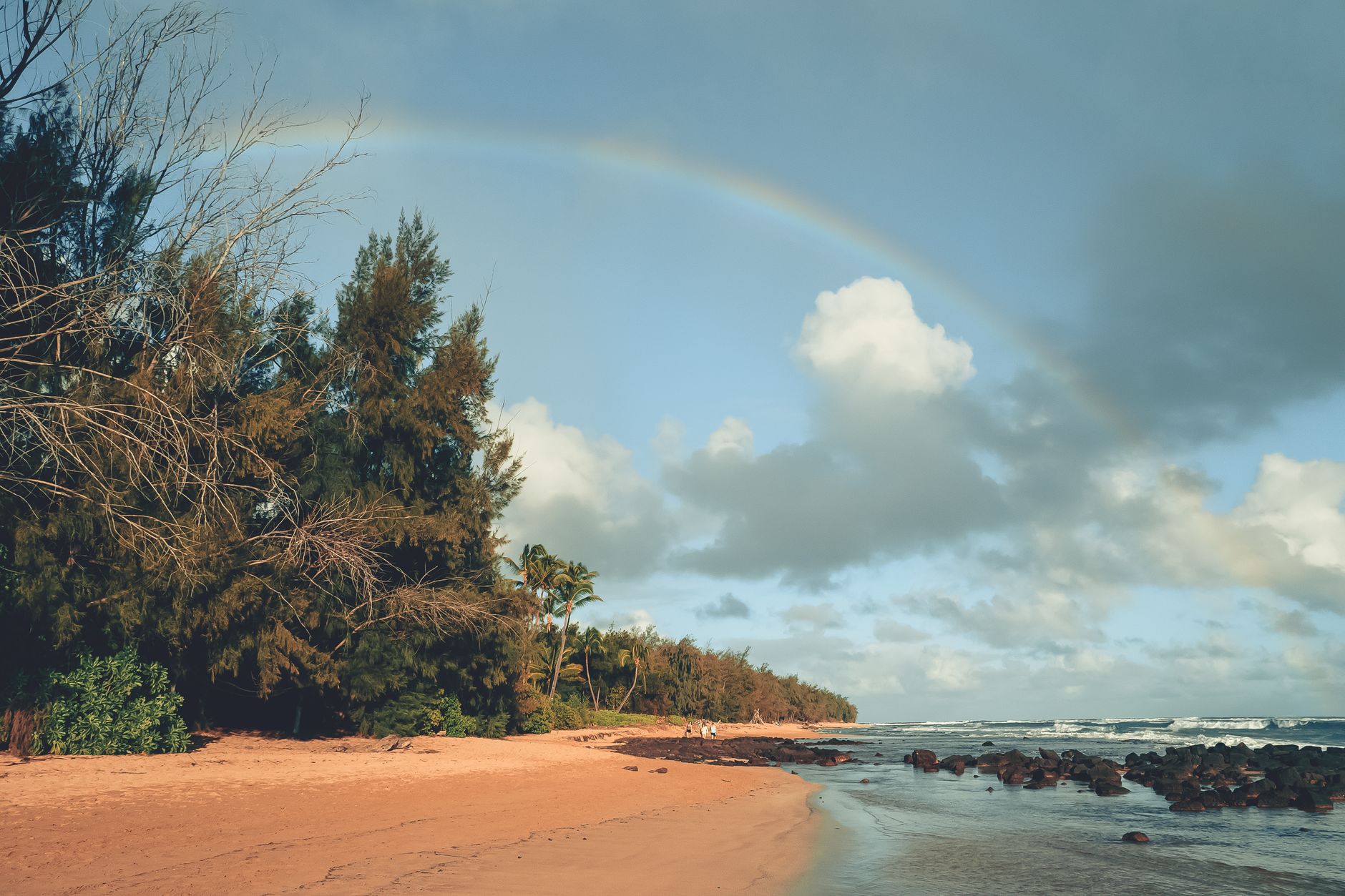 The Ultimate Kauai Beaches Guide: Paradise Found on the Garden Isle