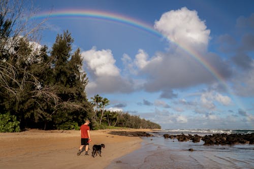 Fotos de stock gratuitas de al lado del océano, arco iris, día soleado