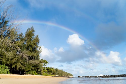 Fotos de stock gratuitas de al lado del océano, arco iris, día soleado