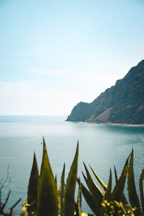 An Island Near a Body of Water Under a Blue Sky