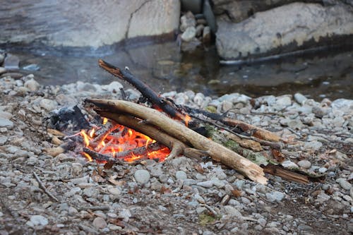 Kostnadsfri bild av lägereld