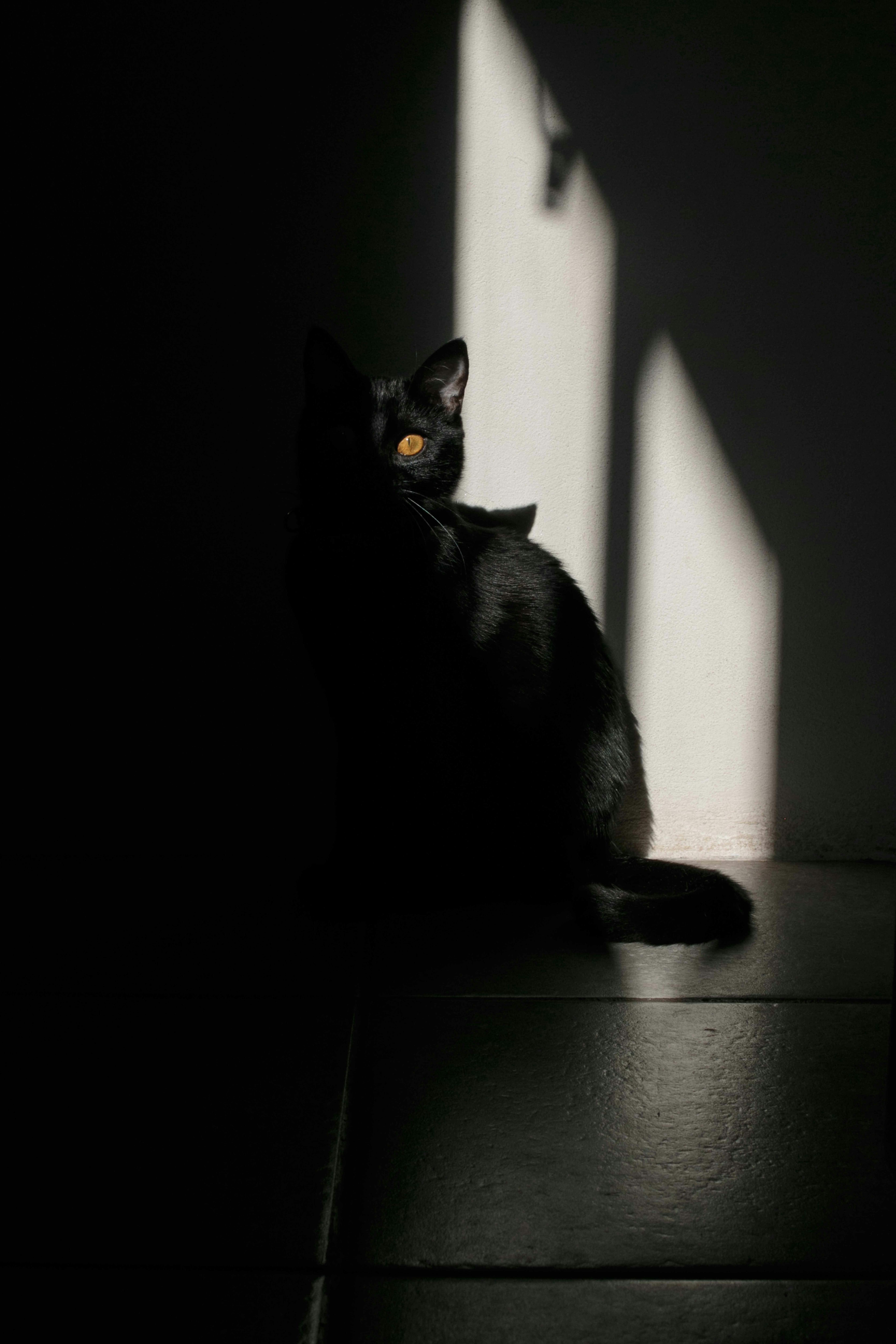 Reflektor Katzenauge am Zaun - ein lizenzfreies Stock Foto von Photocase