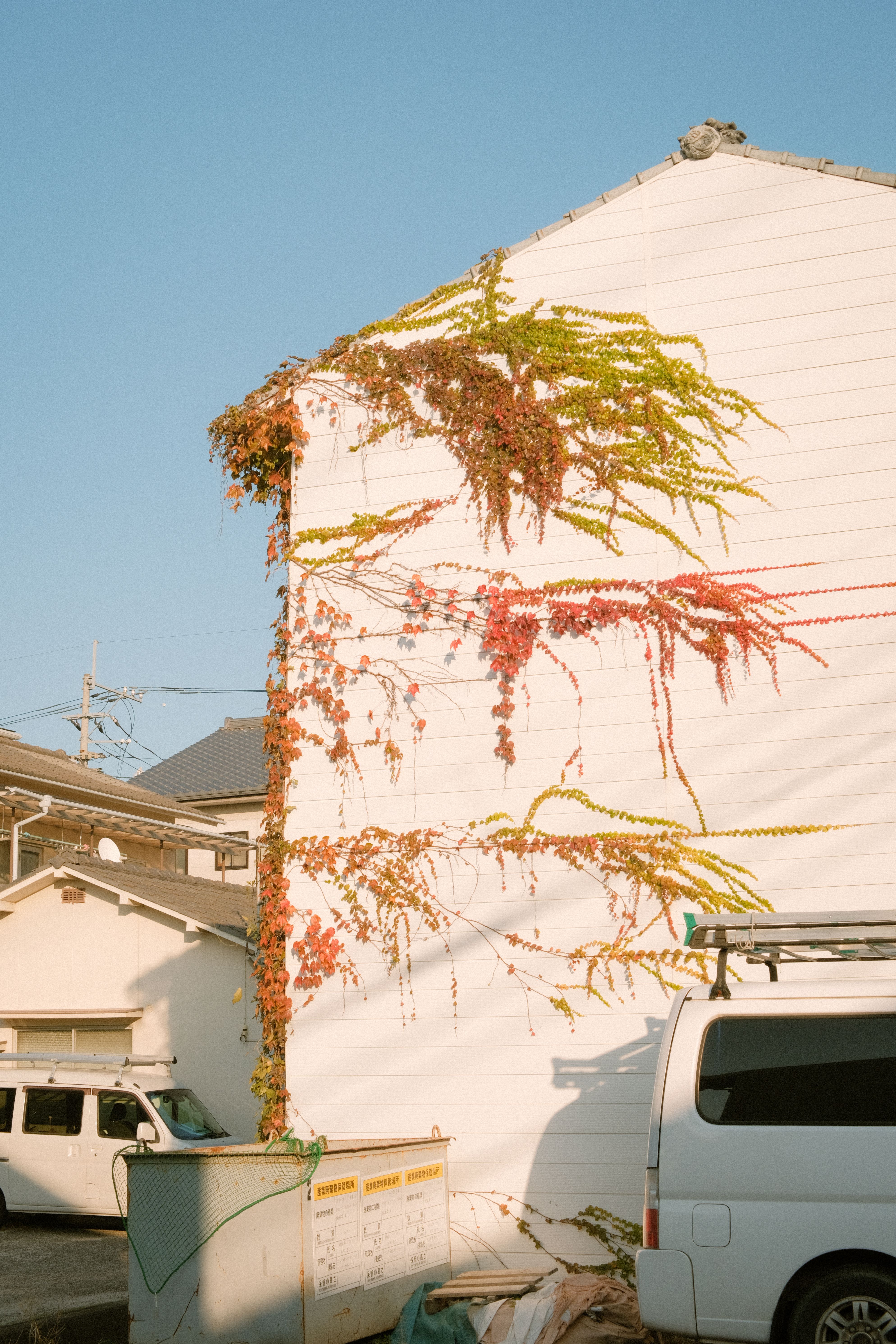 Bright suburban scene depicting a house facade covered in colorful climbing vines under a clear blue sky.