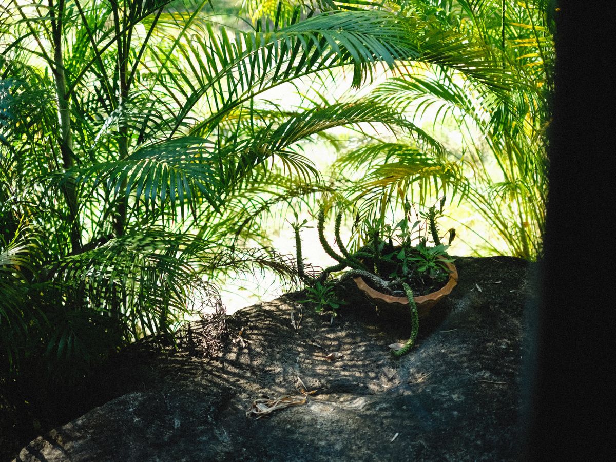 5 Day 'Escape & Thrive' Private Wellness Retreat in Sunny Tulum 1