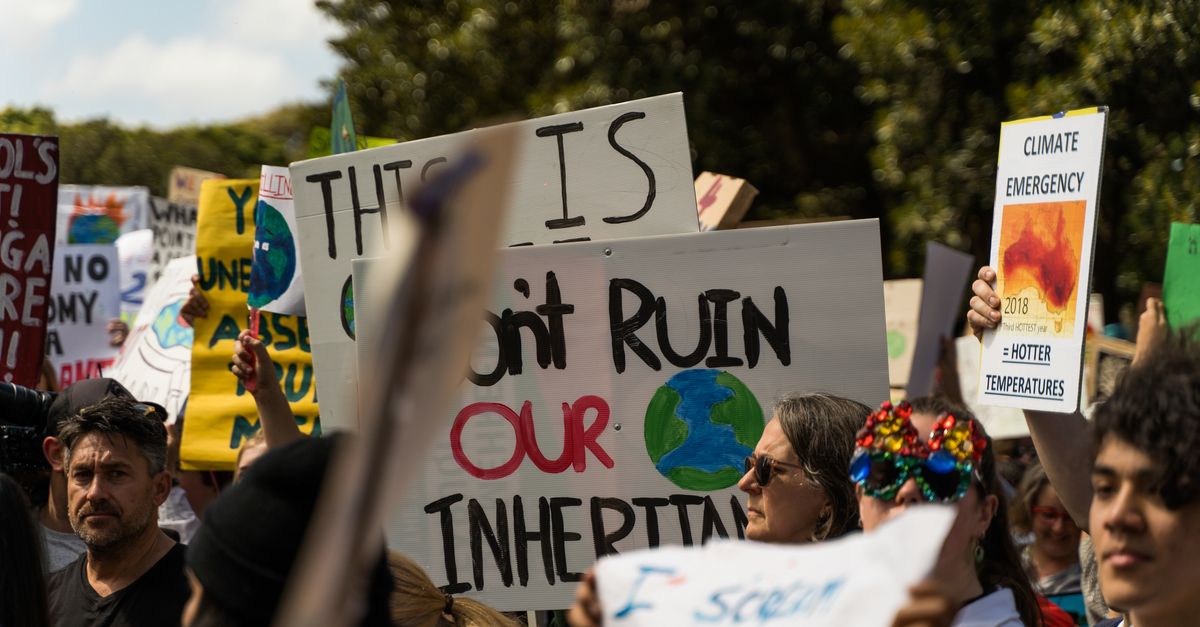 Does The Future of Climate Resilience Lie Beneath Our Feet? — Photo by Max Ravier on Pexels