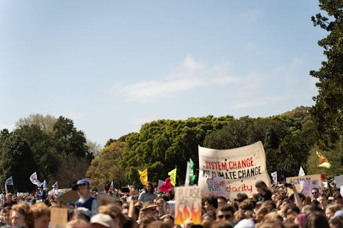 People Holding Up Protest Signs at a Rally