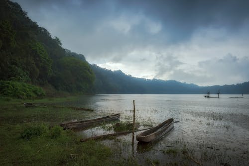 Foto d'estoc gratuïta de llac blau, paisatge de boira