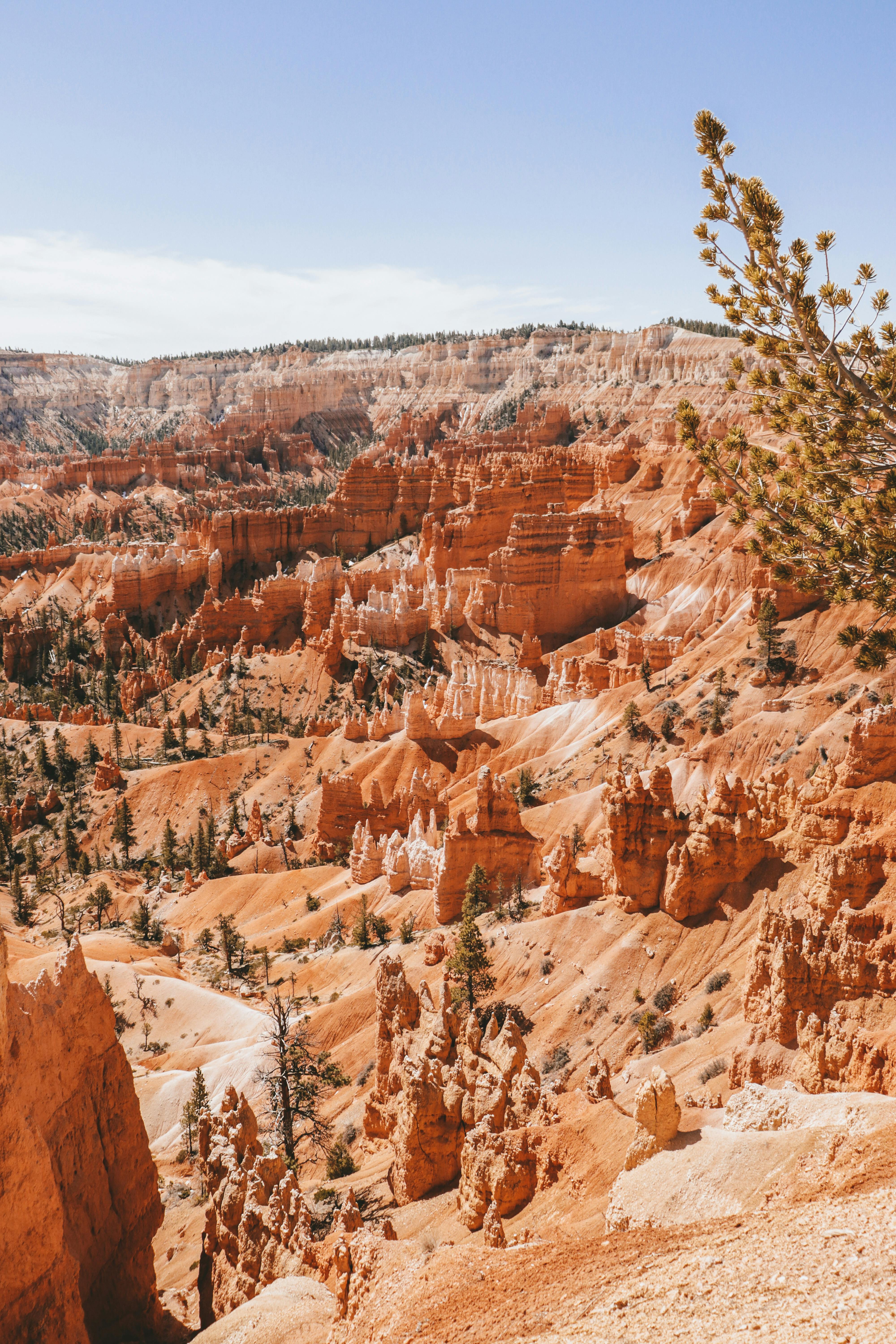 Why did God keep the Israelites in the desert for 40 years?