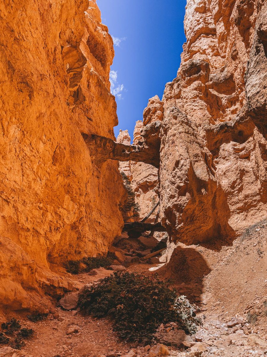 Natural Rock Bridge photo 3