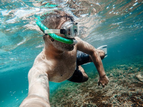 Δωρεάν στοκ φωτογραφιών με snorkeling, άνδρας, αυτοδύτης Φωτογραφία από στοκ φωτογραφιών