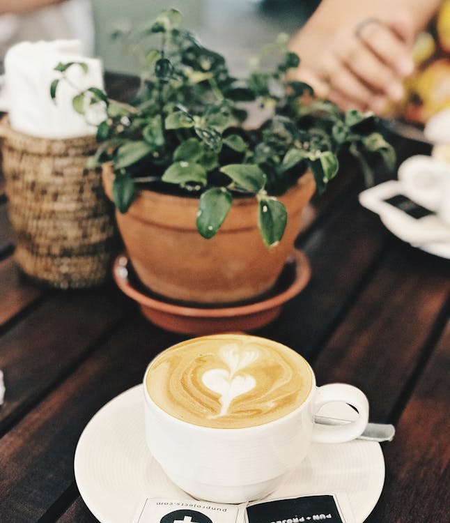 Green Leafed Plant Near Coffee Filled White Ceramic Cup